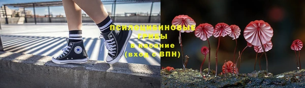 прущая мука Кулебаки