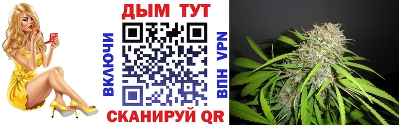 Бошки Шишки ГИДРОПОН  Купить где  Советская Гавань 